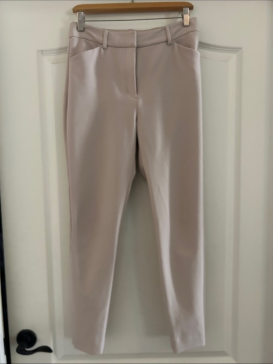Express Pants - Women's Express Skinny Leg Tailored Pants in Light Taupe